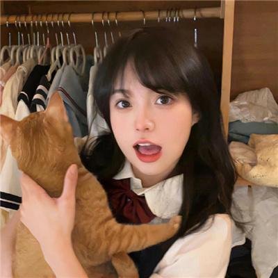 侠盗正传